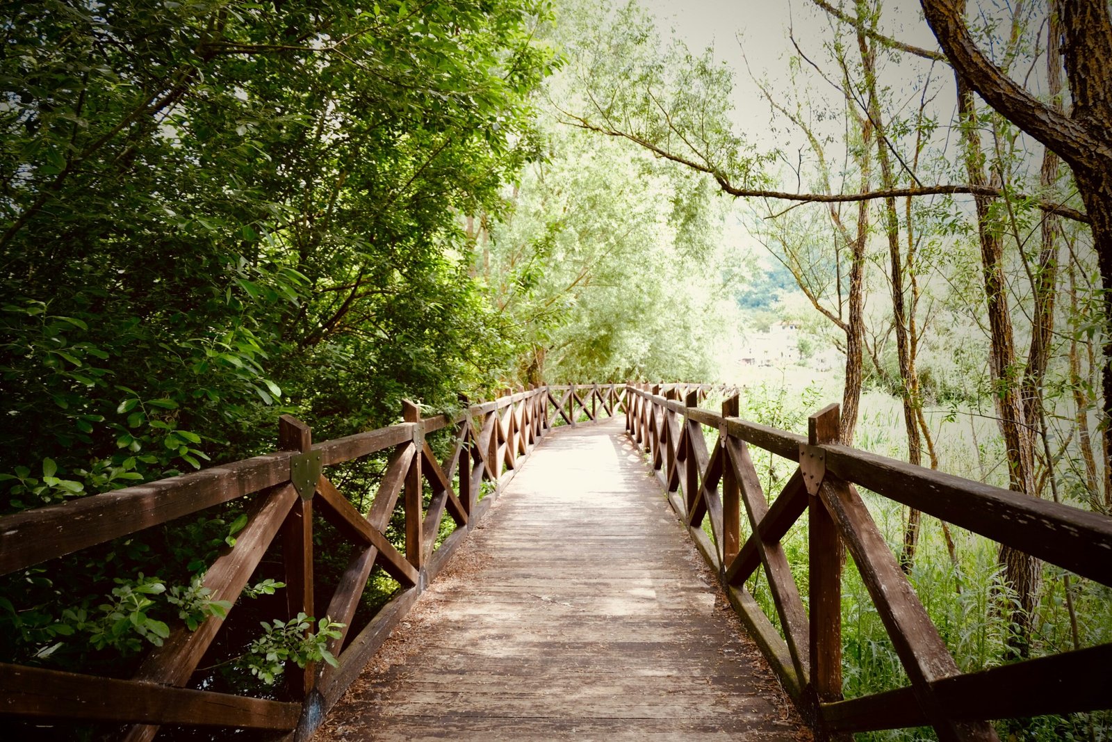 empty brown wooden footbridge